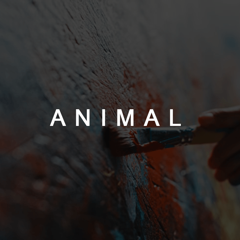 Animal - Artvora